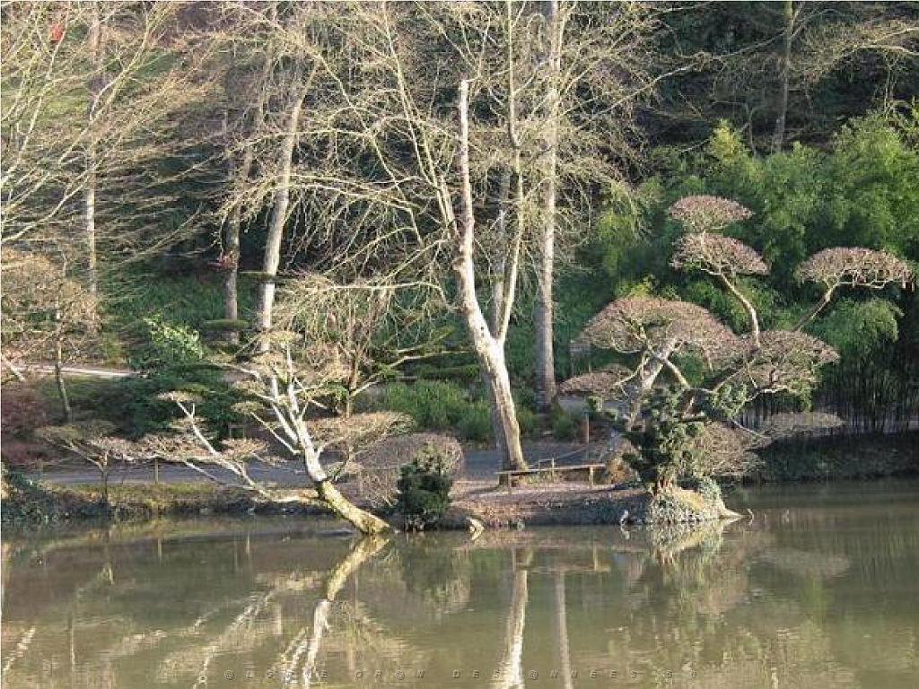 149 PARC ORIENTAL DE MAULEVIER MAINE ET LOIRE 2016 N3_000018.jpg